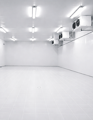 Cold storage warehouse structure with insulated panels and refrigeration-ready steel frame