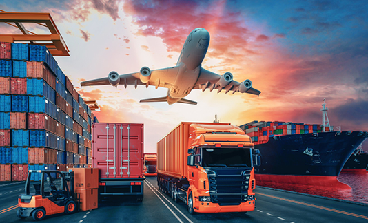 End-to-end coordination covering procurement, compliance, freight and final delivery